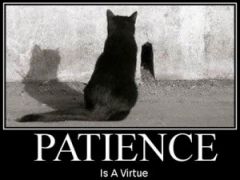 patience Is A virtue