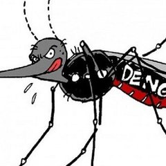 Dengue