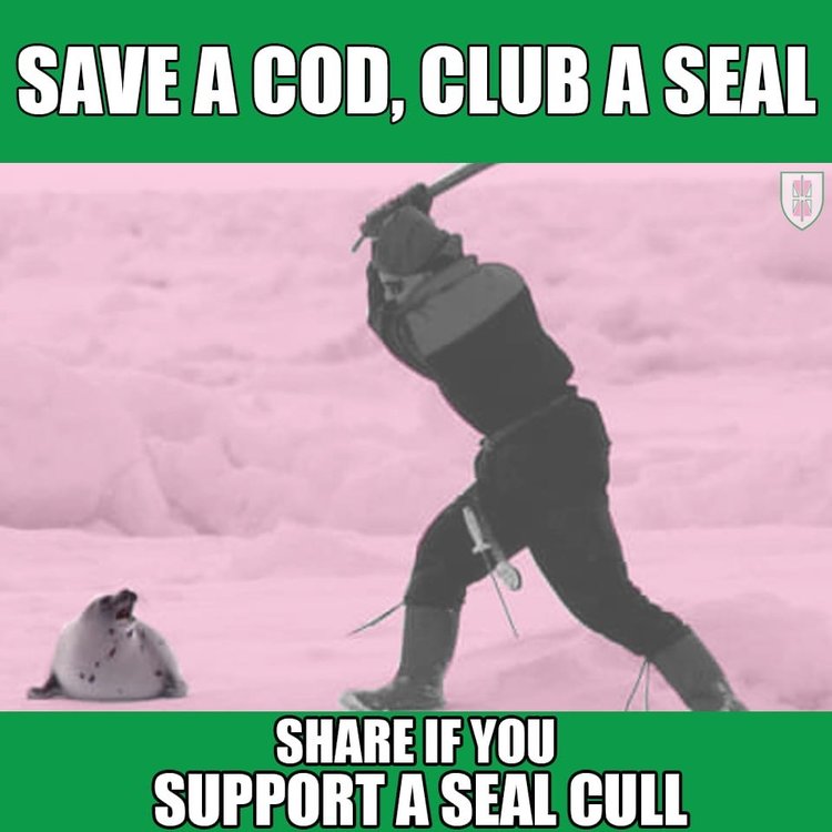 seal.JPG