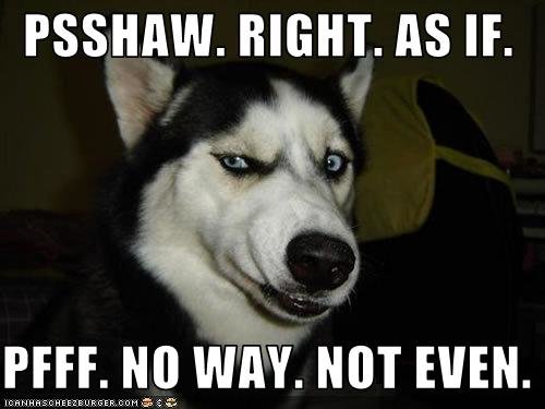 217588335_No-Way-Funny-Dog-Meme-Picture1.jpg.4cf10aa7f2de62d25d4673a5557c8f60.jpg