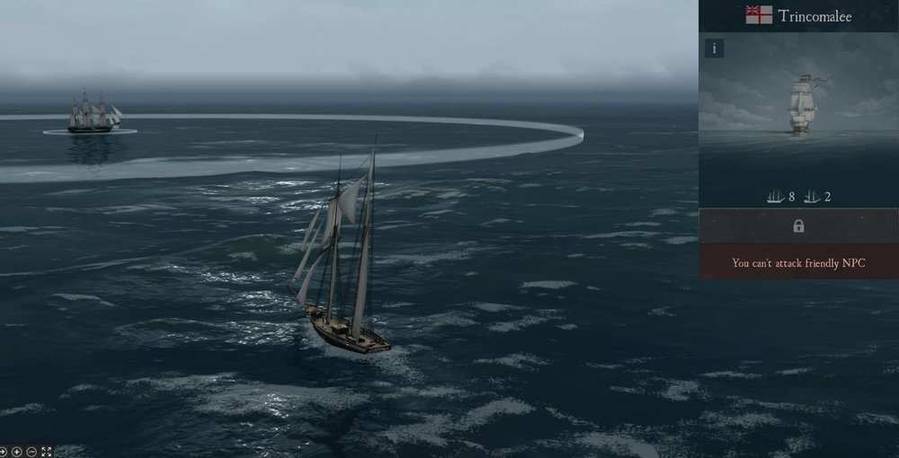 Privateer Fleet.jpg