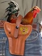 cockholster.JPG.3f418296384fc7e3430c1b665df4fc3e.JPG