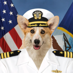 Commander Corgi