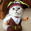 Pirate