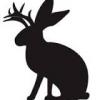 Jackalope