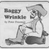 Baggywrinkle