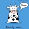 Identity_crisis