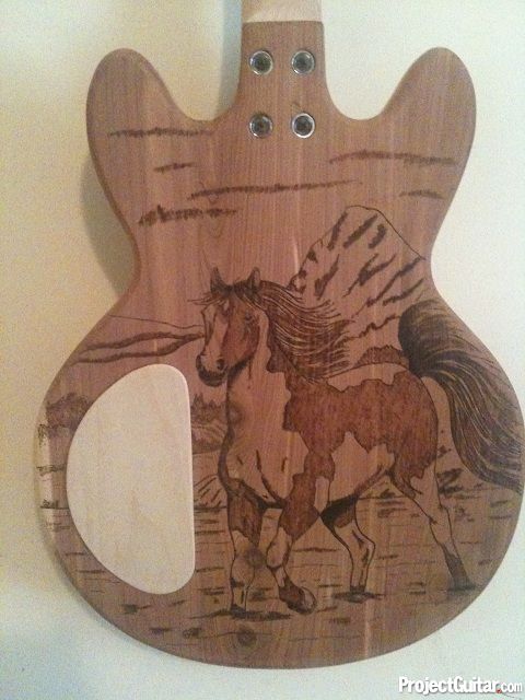 Gallery - ProjectGuitar.com