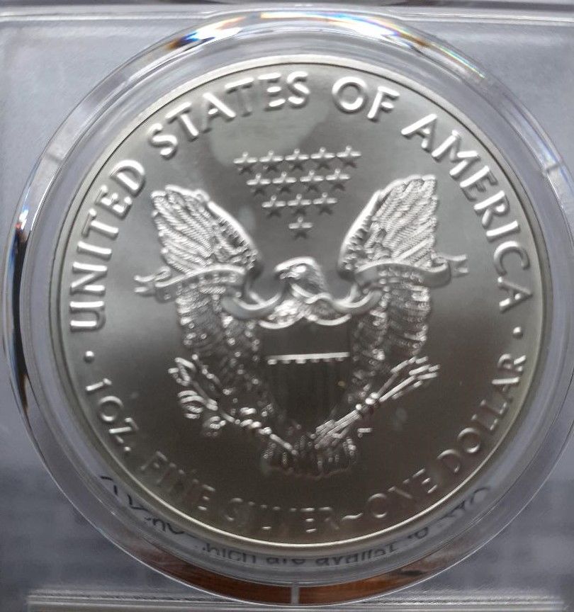 コレクション MILK NGC PCGS Silver Eagle milk spotting - US, World, and Ancient Coins - NGC