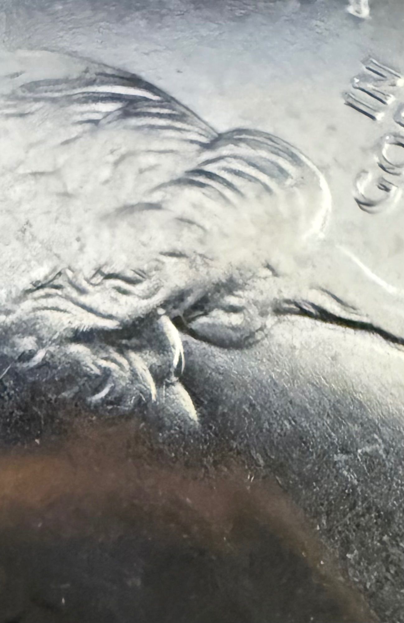 2019 “W” Lowell error coins. - Newbie Coin Collecting Questions