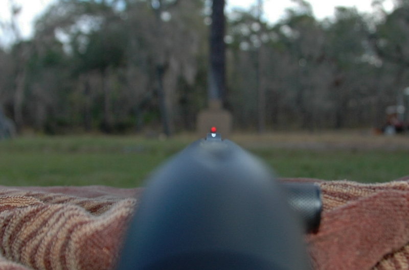 How to Sight in a Shotgun: Expert Tips for Accuracy