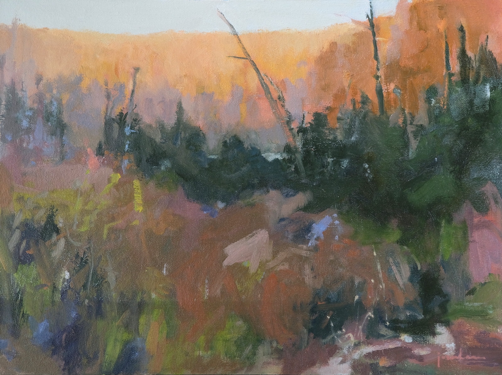 The Avenue Gallery – Feature Artist – Maria Josenhans