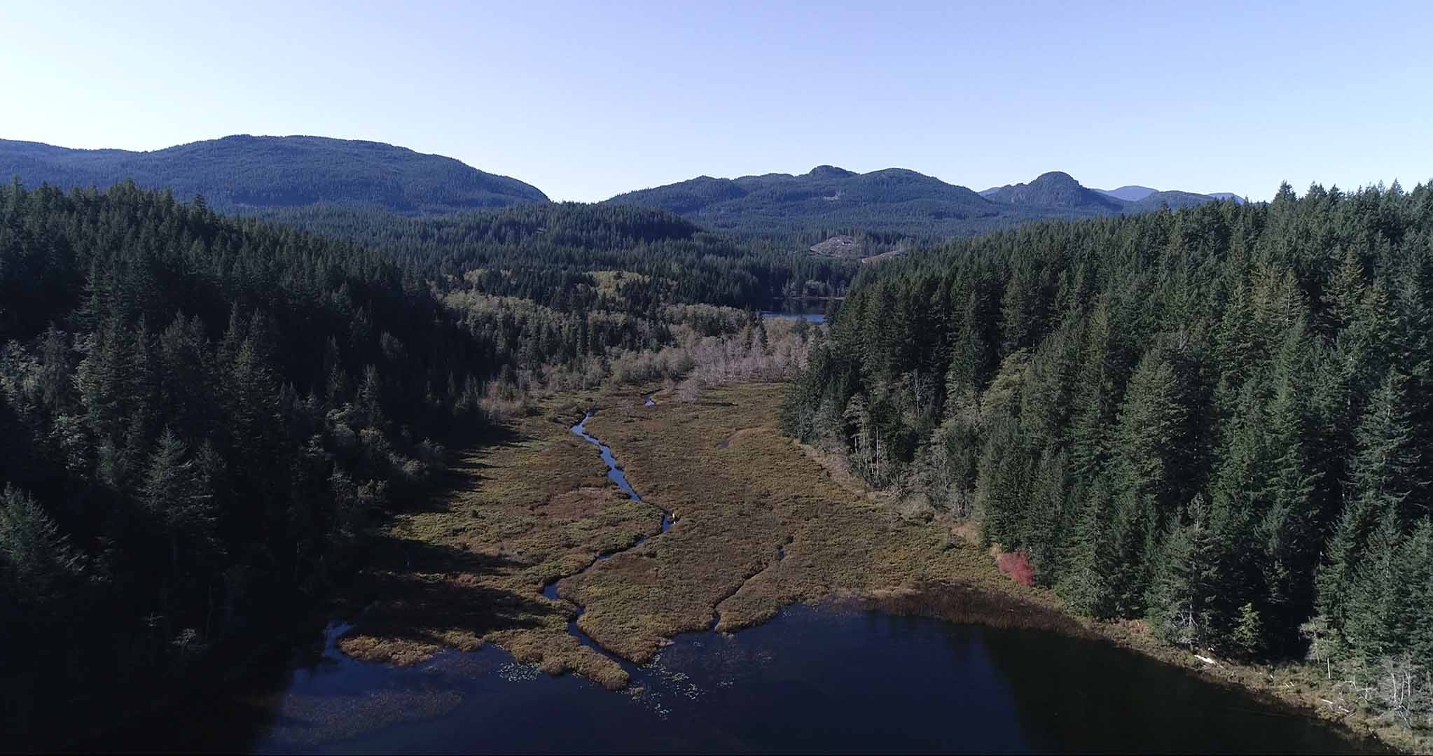 Shadow Brook and Little Main Lake flyover, October 9, 2019 ...