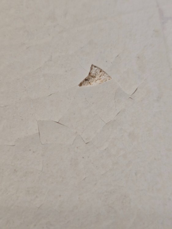 kiln lid flaking/cracking - fix? - Equipment Use and Repair