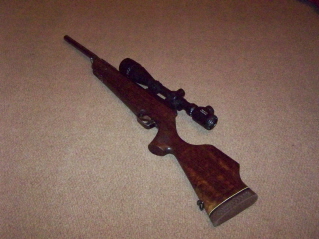 theoben fenman .22 GAS RAM - Guns for Sale (Private Sales) - Pigeon ...