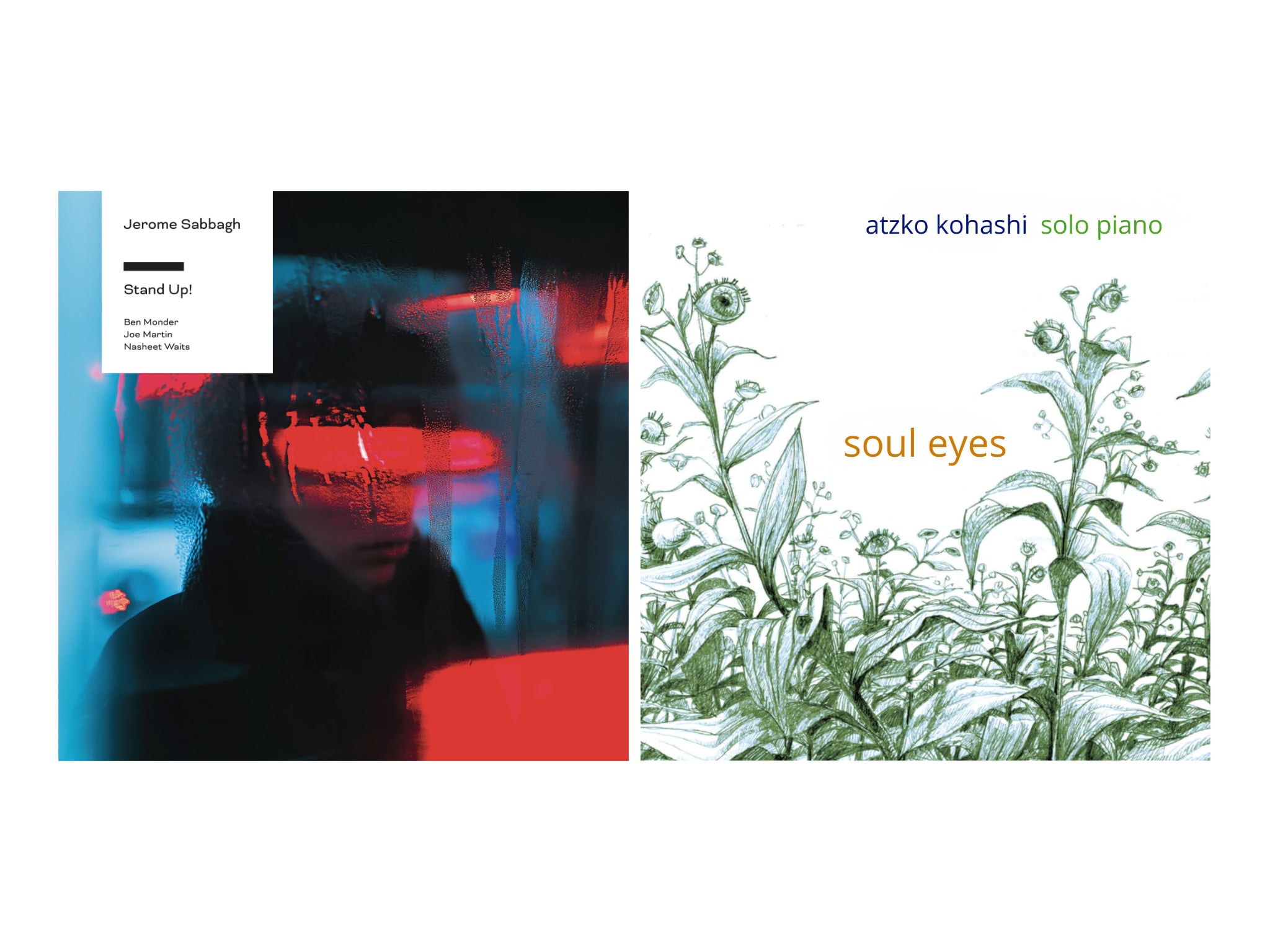Two Albums You'll Need To Purchase - Bits and Bytes - Audiophile Style