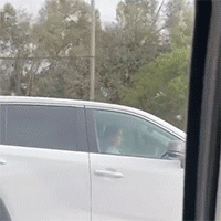 7P0r922.gif.551a72d0ebe215e9e9326785a858