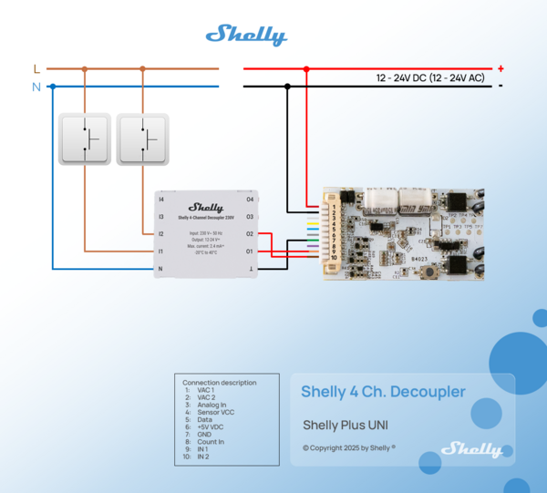 English - Shelly community