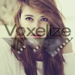 voxelize