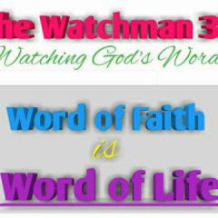 thewatchman317