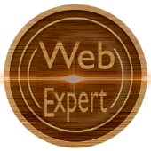 web_expart101