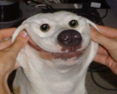 turnyourfortunelight avatar