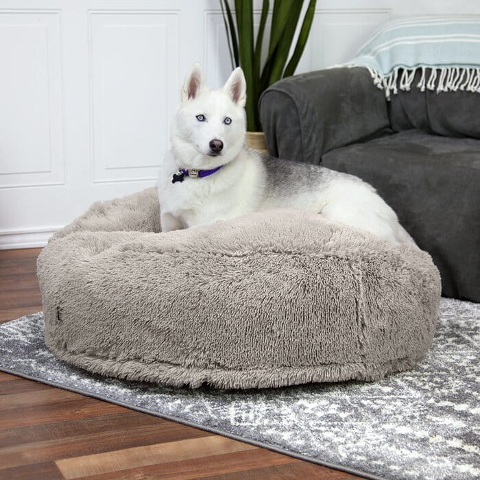 Best Bed for Husky Husky General Husky Owners The Siberian Husky Forum