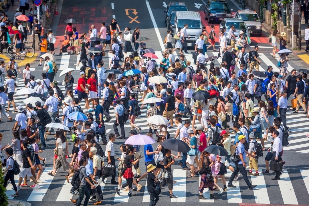 Tokyo pushes shorts at work for men, sparking a hairy office debate among women