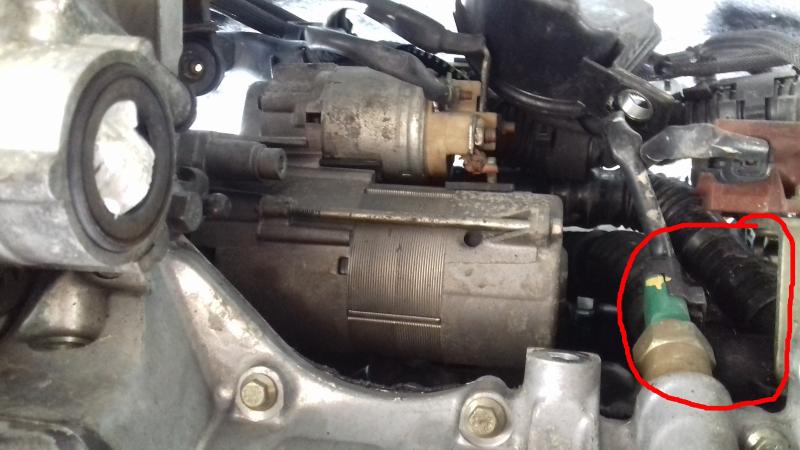 Vidange du liquide de refroidissement 1.6 HDI 110 - C5 I phase 1 et phase 2  (2001-2008) - PLANTE-CITRON