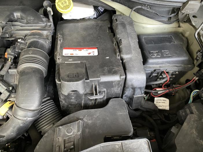 Dmontage de la Batterie C4 Cactus 2015 - C4 CACTUS / NOUVELLE C4 CACTUS  (06/2014 --09/2020> ...) - PLANTE-CITRON
