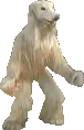 Panchi.gif.805cf52c7703bfdc881ac435aee23