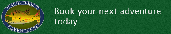 advertisement_alt